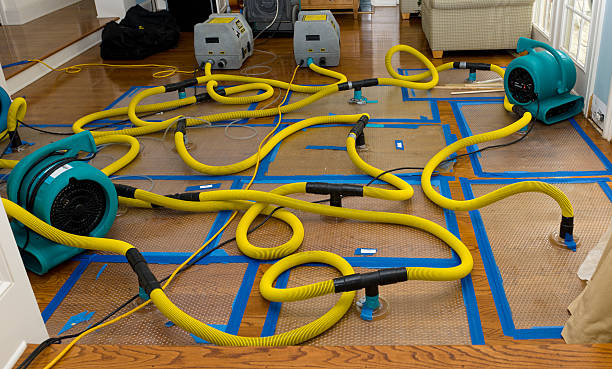 Professional Water Extraction technician working in Union, MO